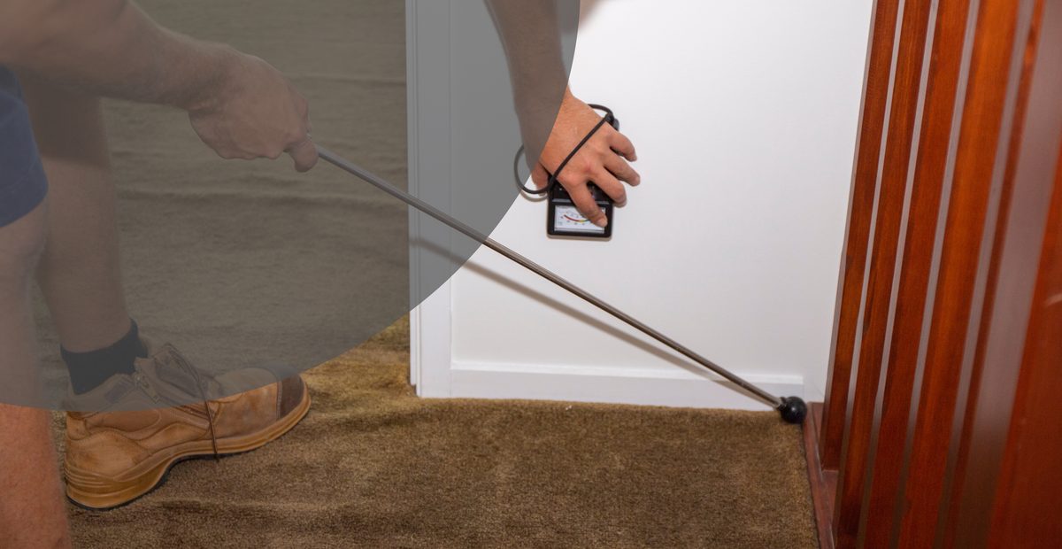 Termite Solutions