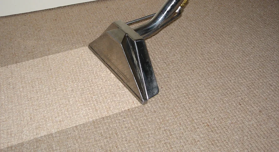 Carpet being cleaned with professional truck-mounted equipment
