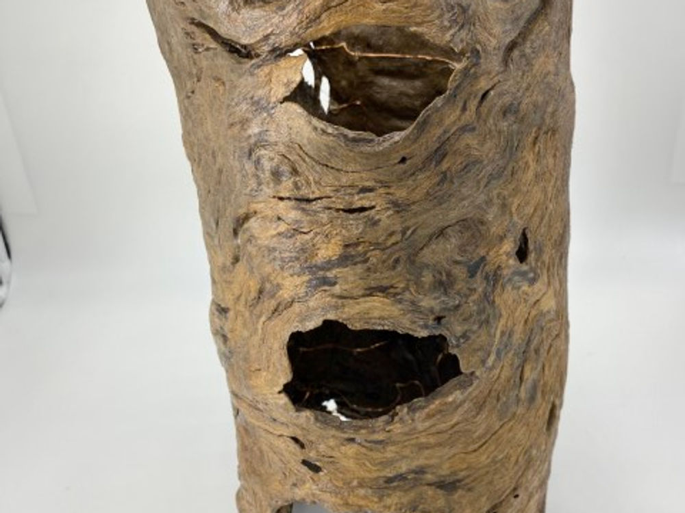 Swamp log art piece.
