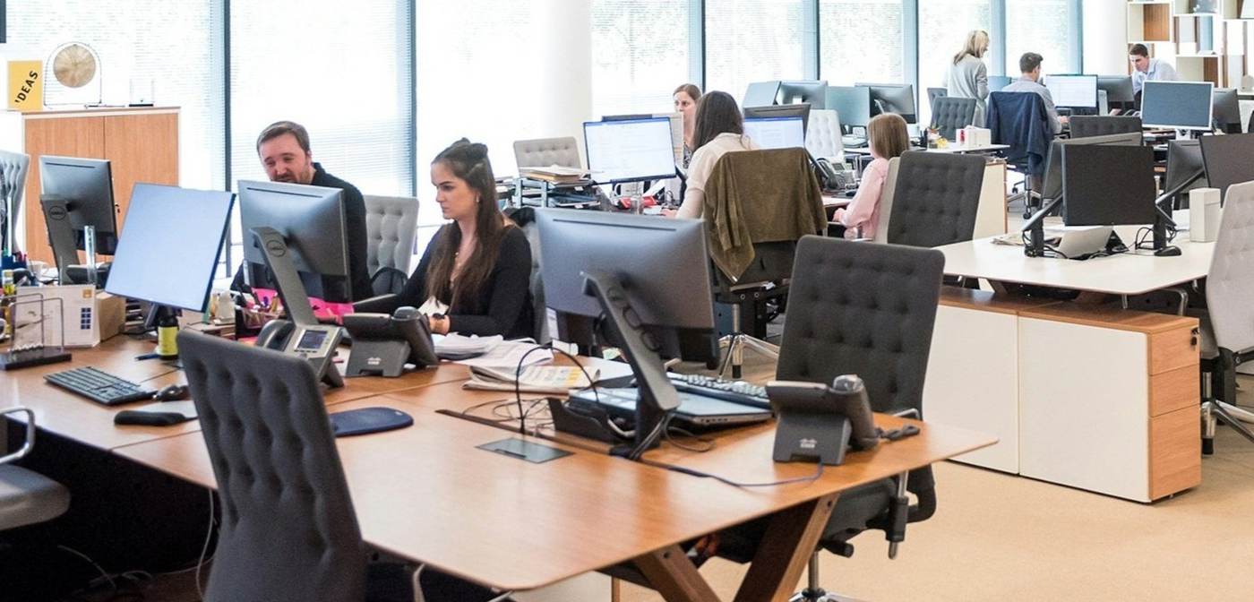Workplace wellbeing program