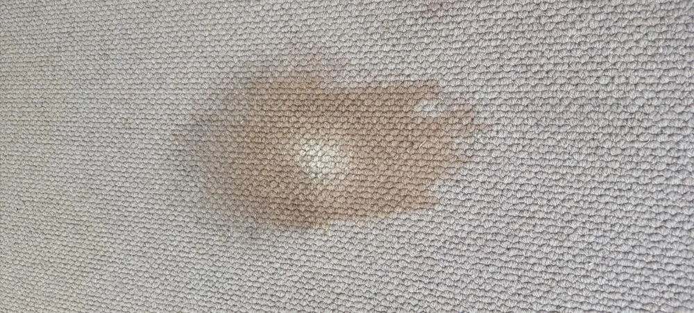 Carpet before steam cleaning