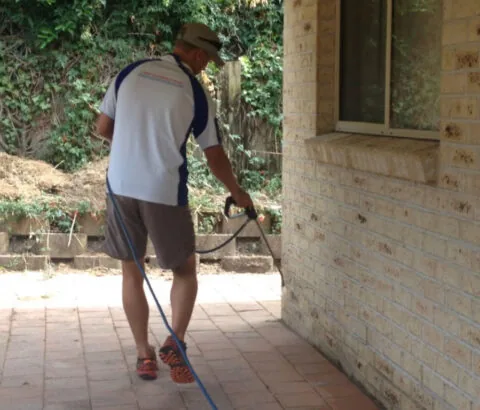 Pest Control Tweed Coast source image