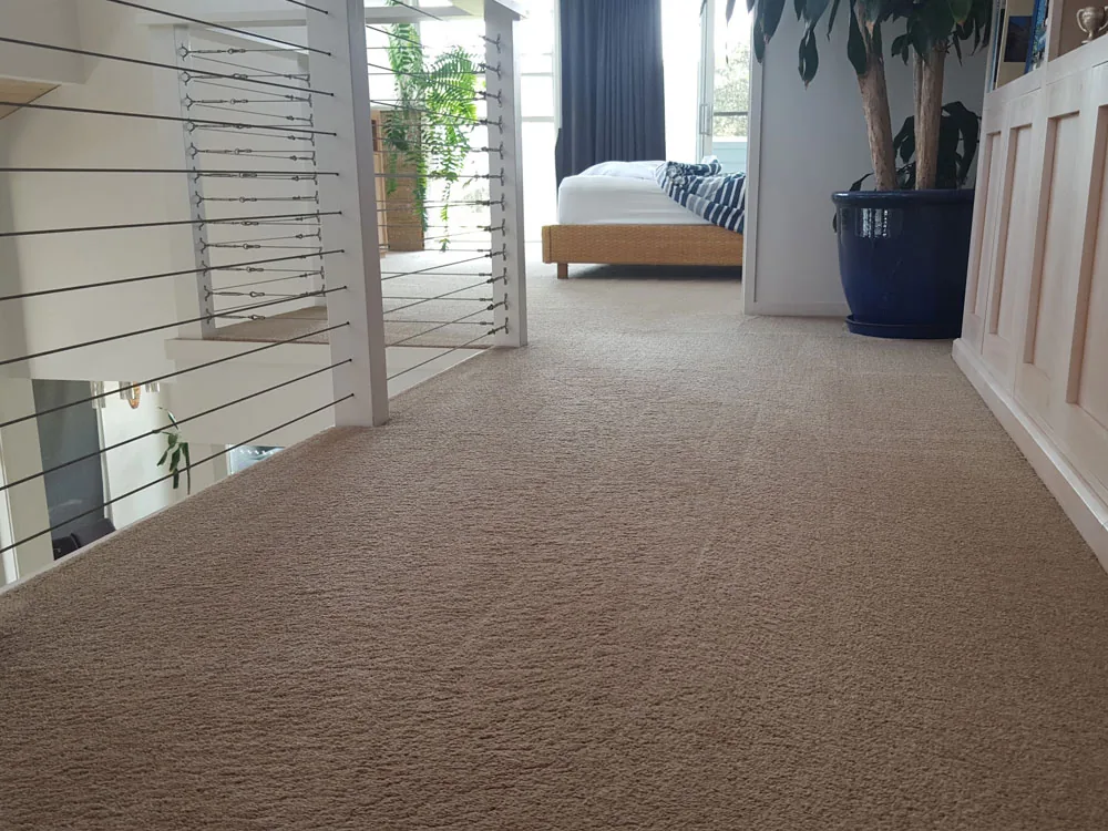 Carpet Cleaning Tweed Coast source image