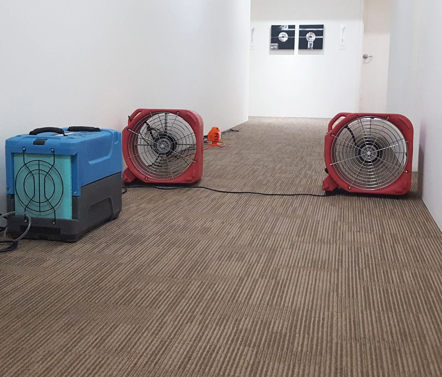 Water Damage Tweed Coast source image