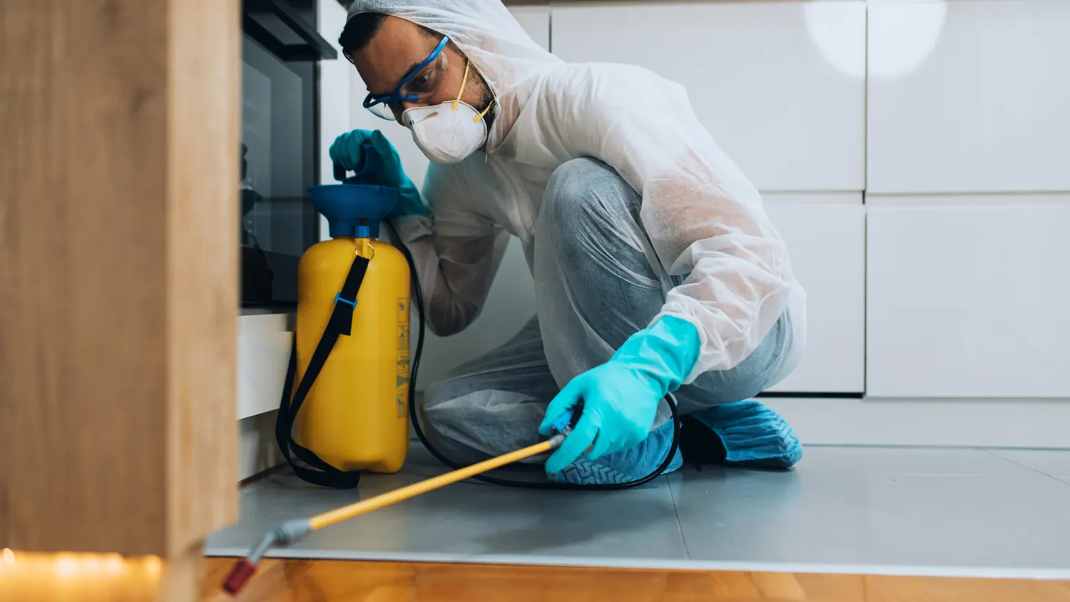 Upholstery Cleaning local service image