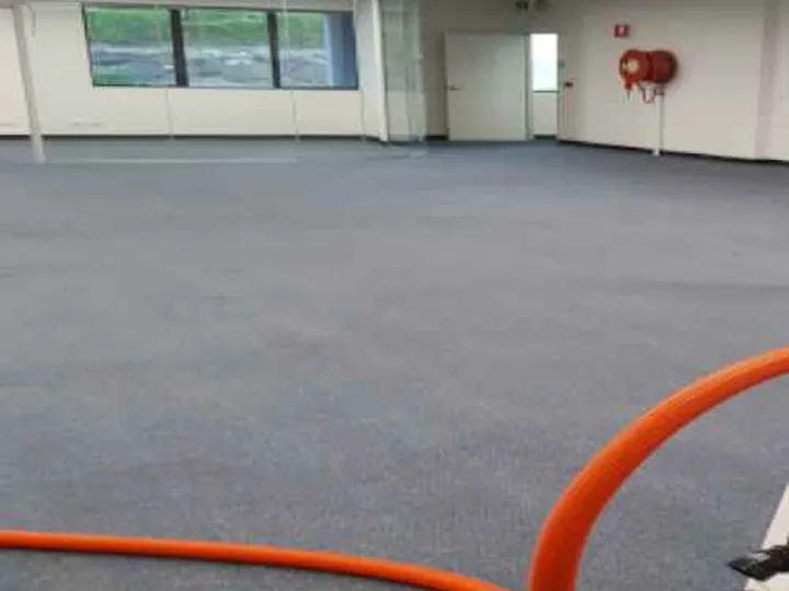 D Best Carpet Cleaner source work image gallery_10