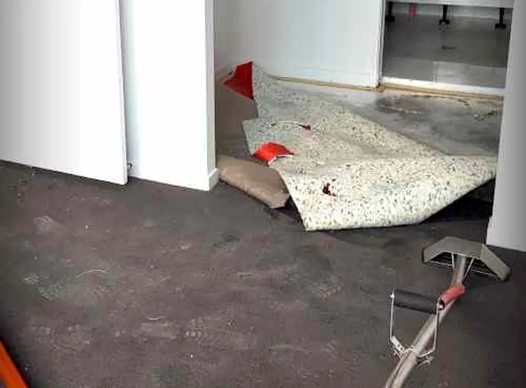 Water Damage Restoration by D Best Carpet Cleaner