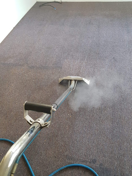 Carpet Cleaning