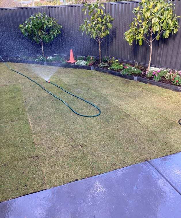 Softscape by Dawson Landscapes
