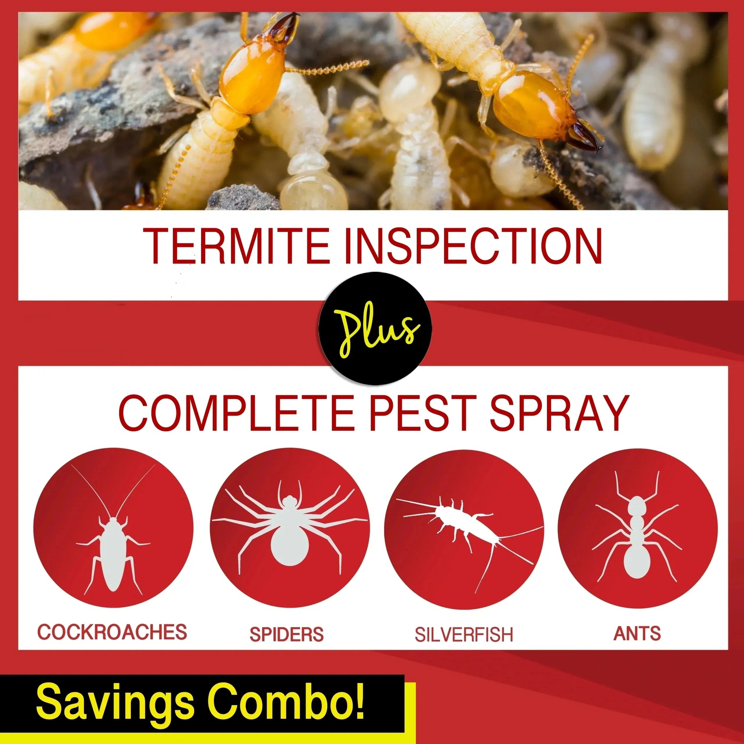 Combo Inspection + Pest Spray — db Pest Management