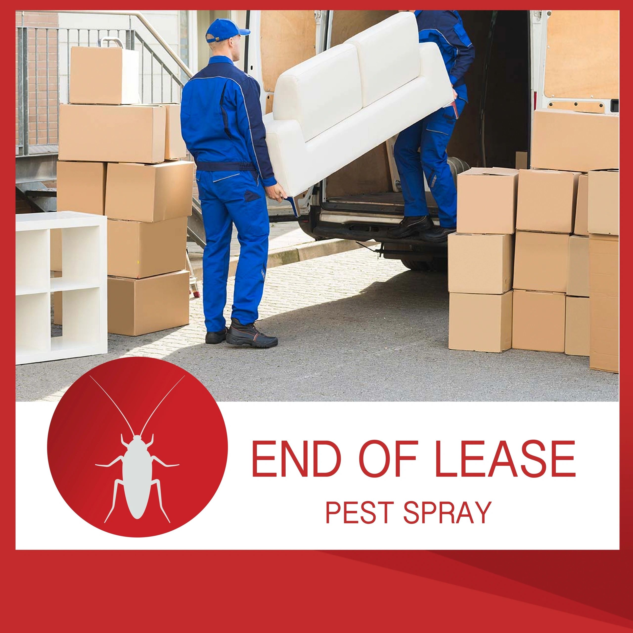End of Lease Pest Spray — db Pest Management Brisbane
