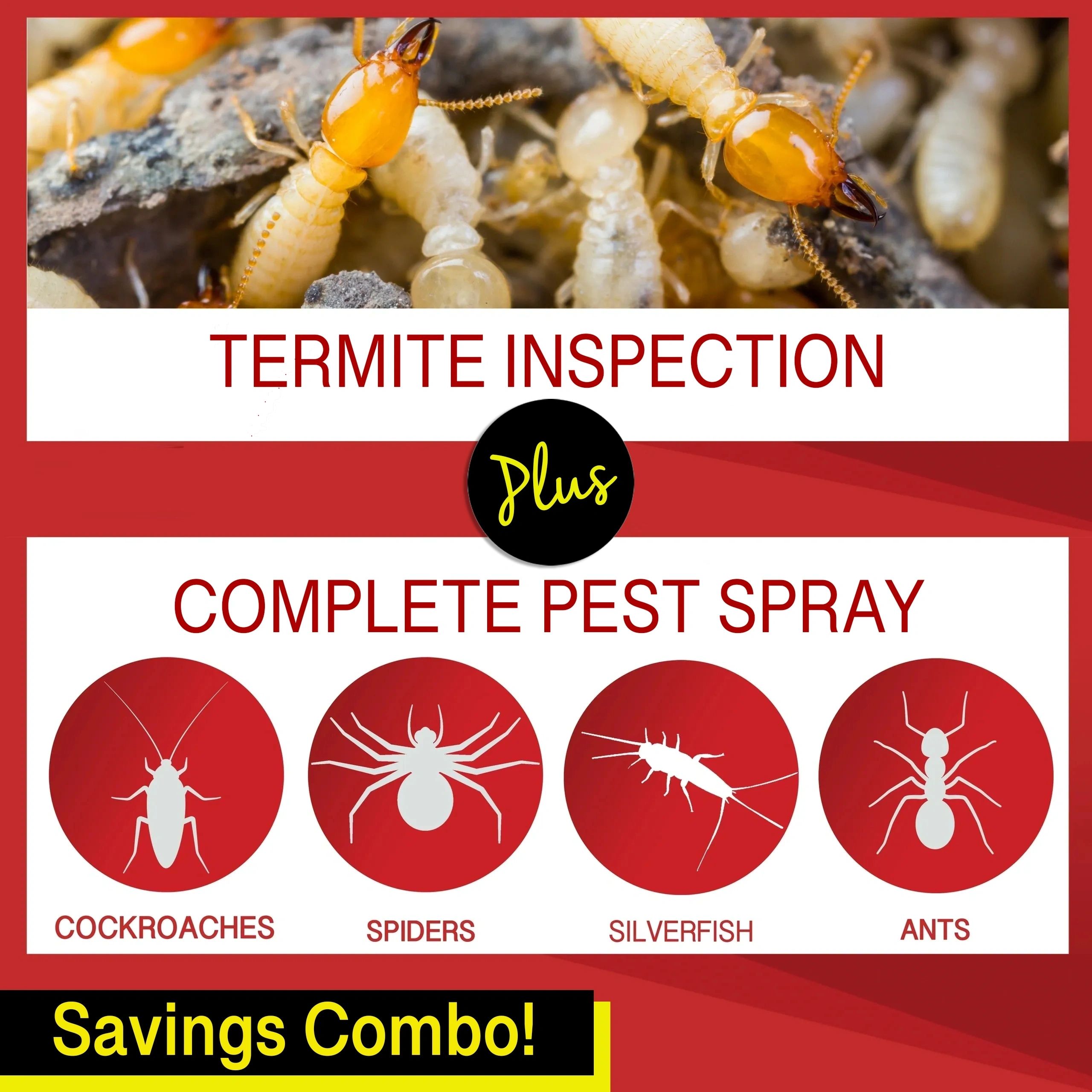 Termite Barrier — db Pest Management
