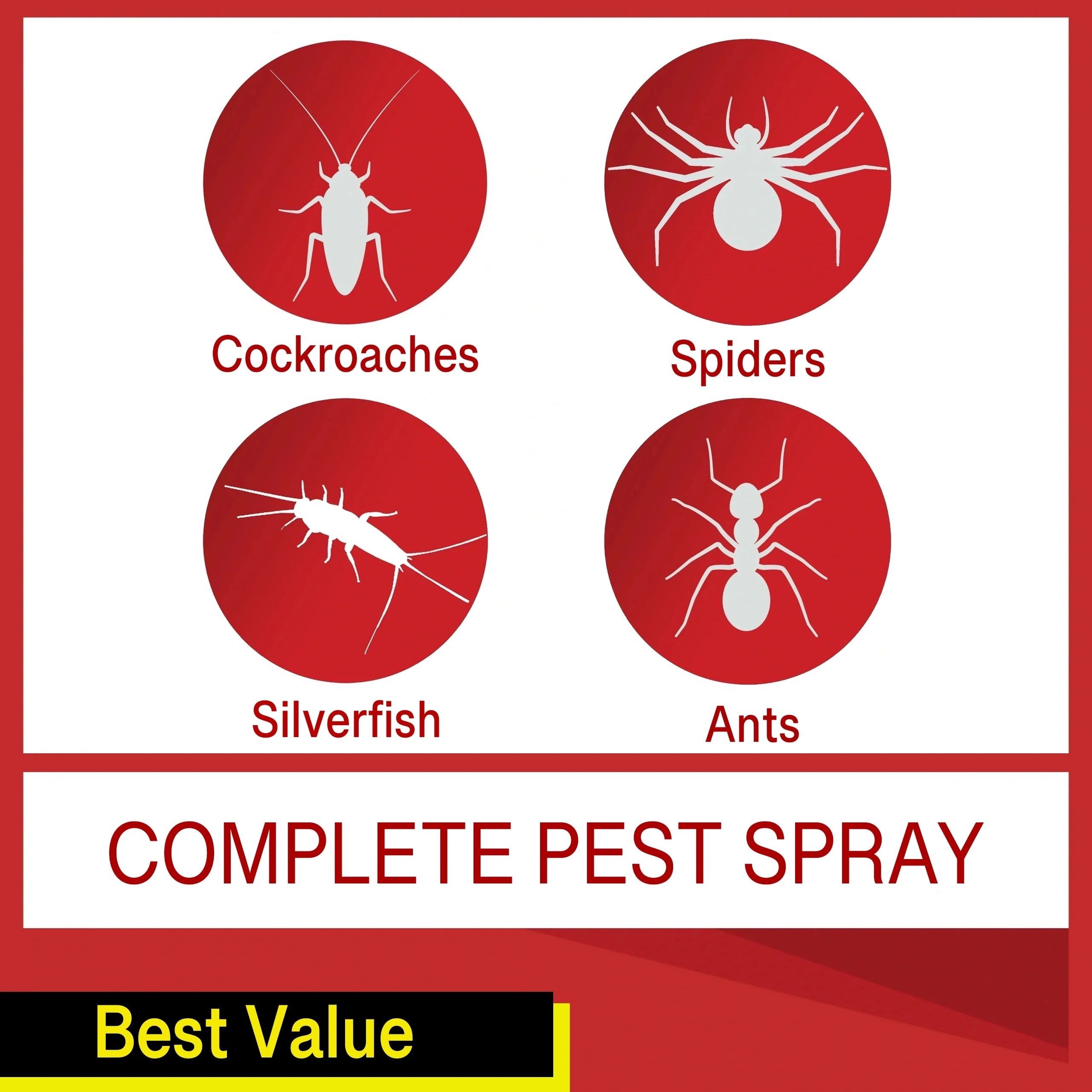 Complete Pest Spray — db Pest Management Brisbane