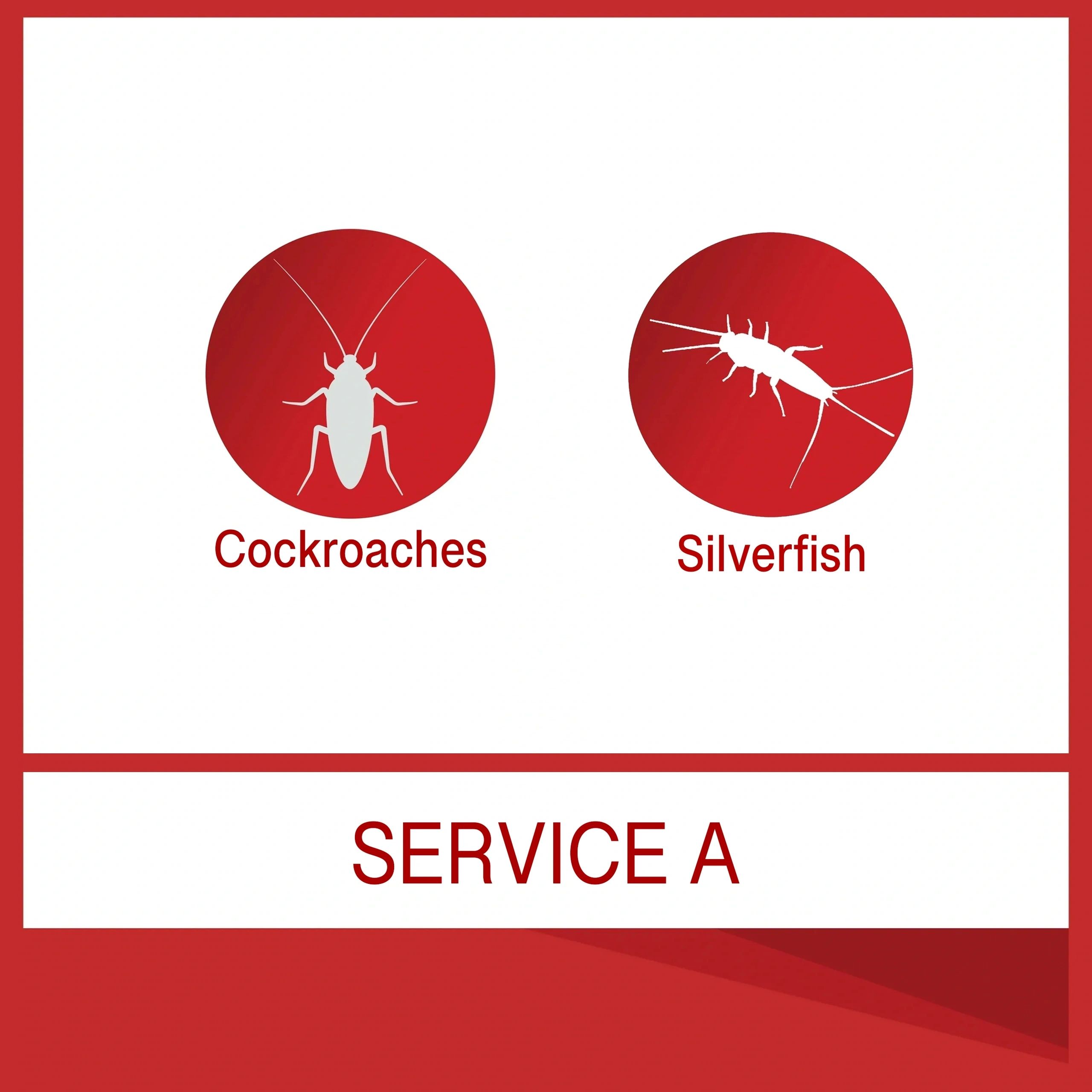 General Pest Spray (Service A) — db Pest Management Brisbane