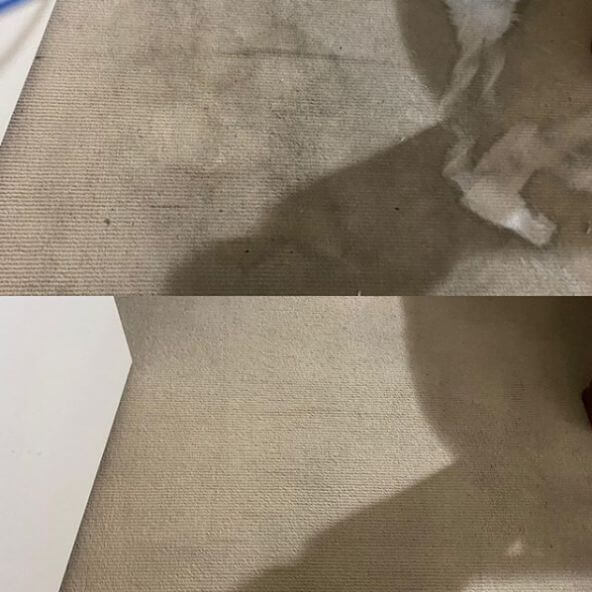 Carpet steam cleaning Brisbane