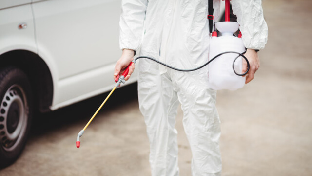 Pest control Brisbane