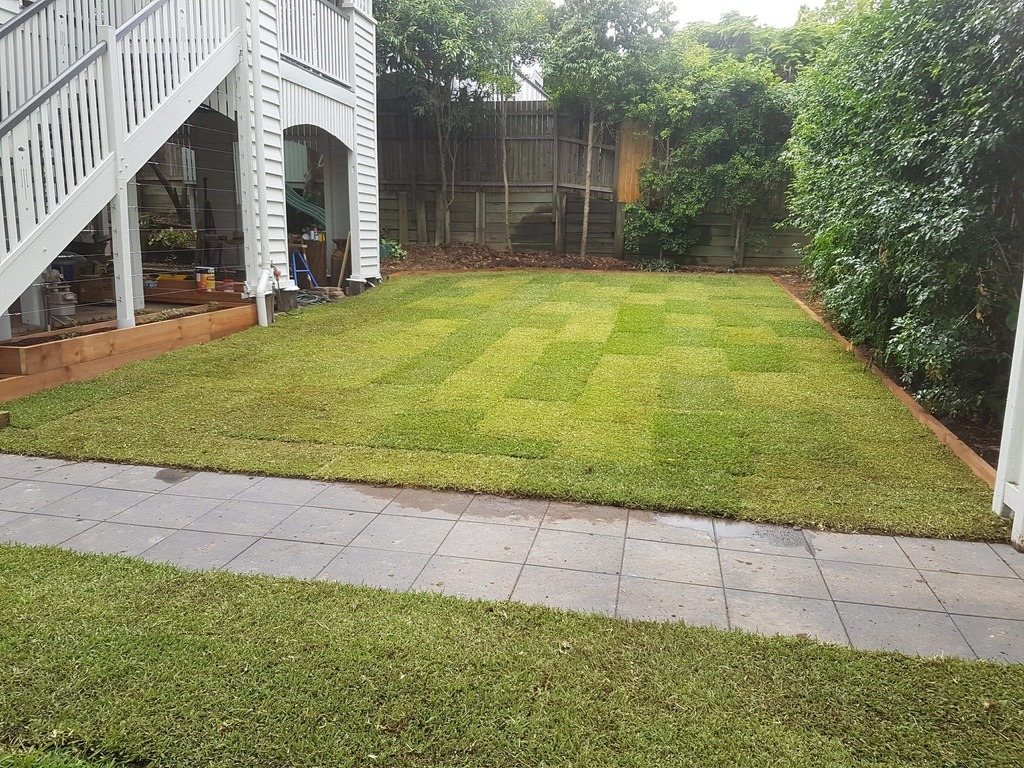 Freshly laid turf by Desire Landscapes Brisbane