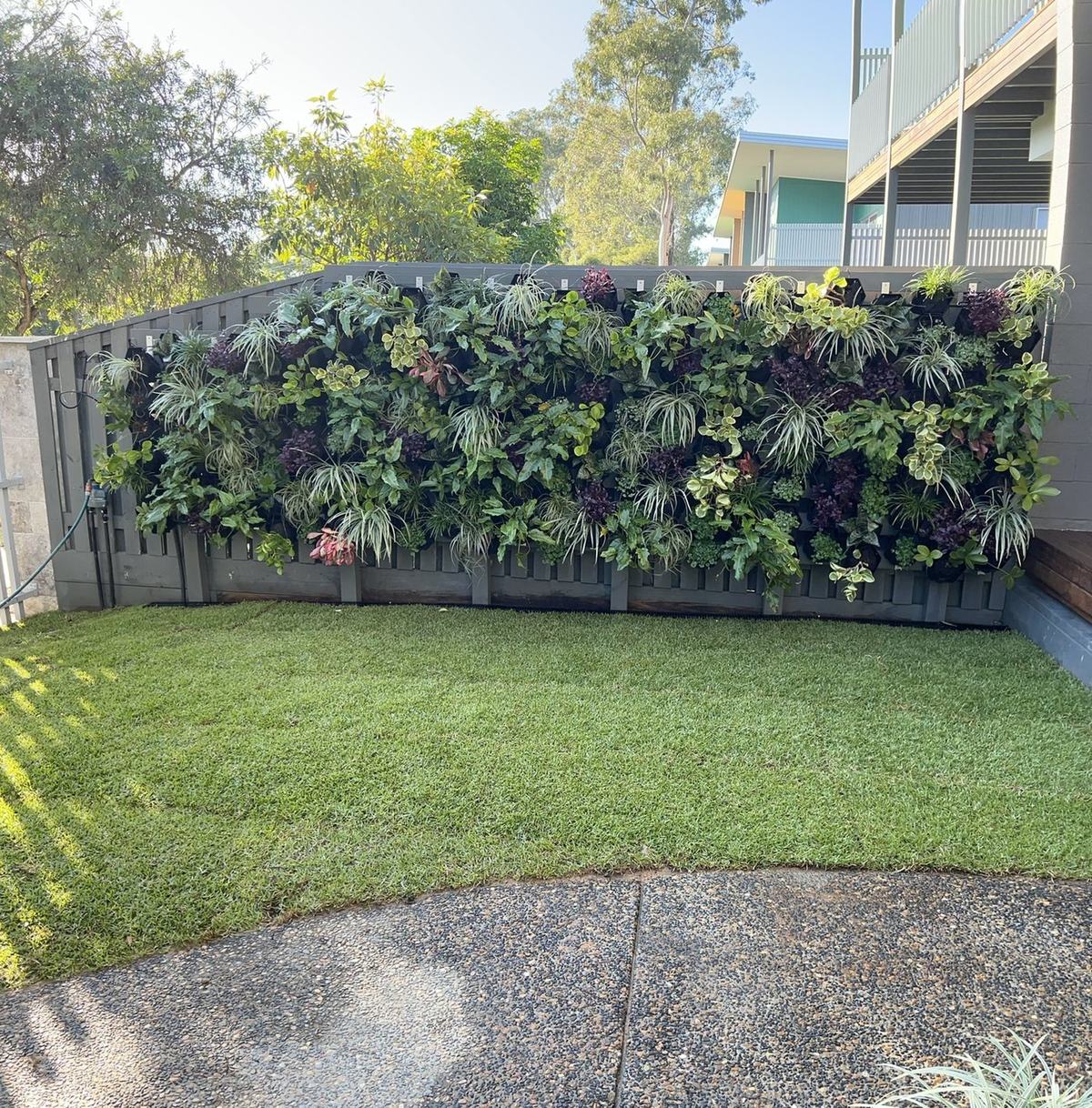 Commercial landscaping with vertical green wall by Desire Landscapes