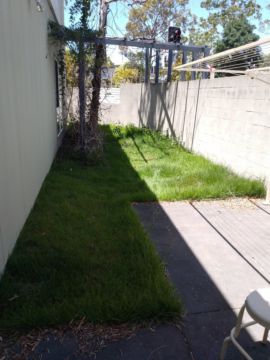 Freshly mown lawn by Dexter's Lawn Mowing Service in Brisbane