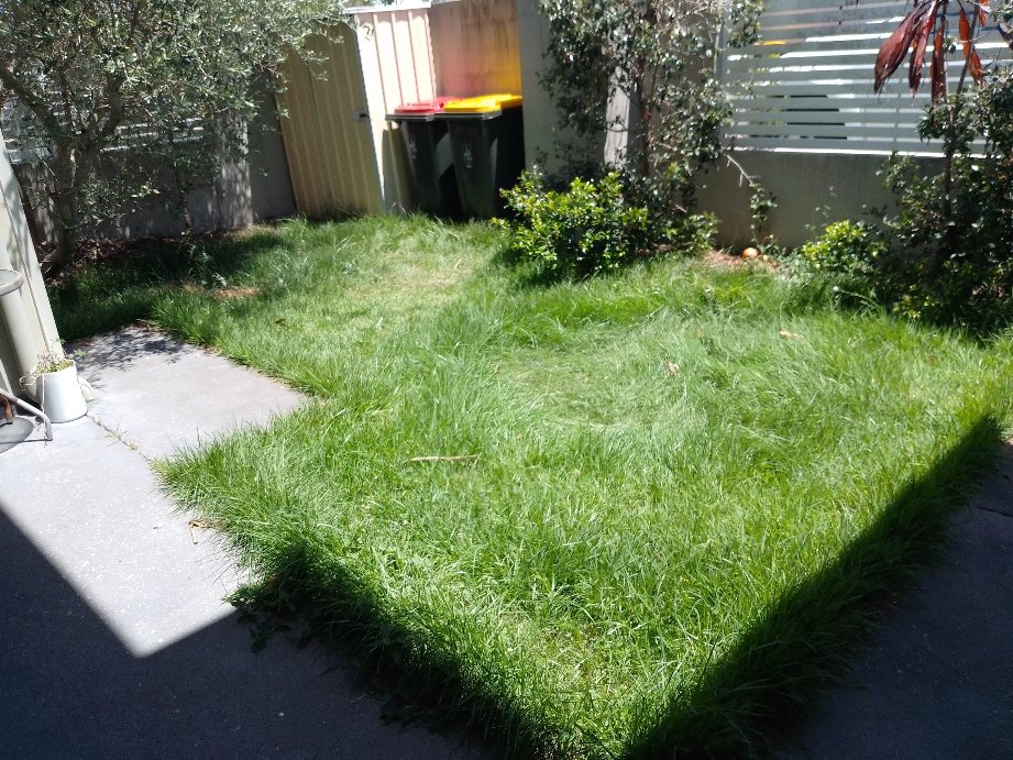 Lawn and garden work by Dexter's Lawn Mowing Service in Brisbane