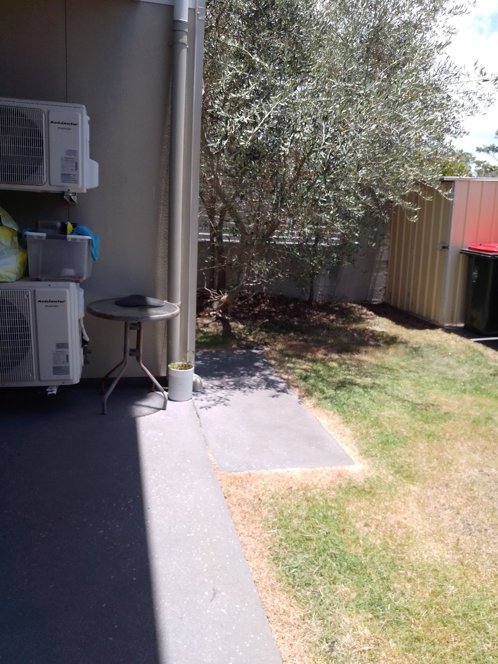 Dexter's Lawn Mowing tidy garden in Brisbane