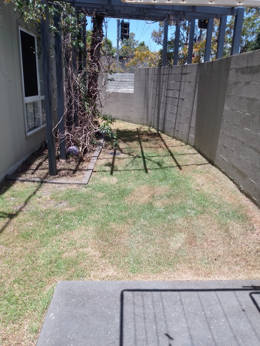 Garden Cleanup & Green Waste Removal detail by Dexter's Lawn Mowing
