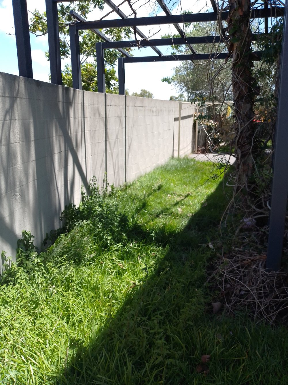 Garden Cleanup & Green Waste Removal by Dexter's Lawn Mowing