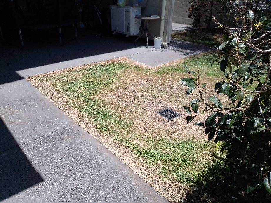 Lawn Mowing detail by Dexter's Lawn Mowing