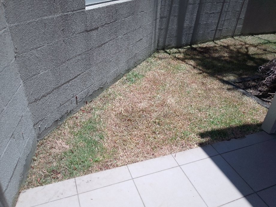 Whipper Snipping & Edging by Dexter's Lawn Mowing