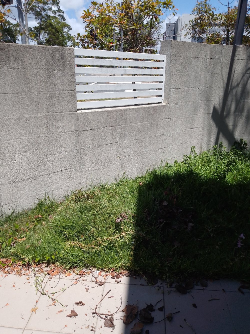 Lawn and garden work by Dexter's Lawn Mowing Service in Brisbane