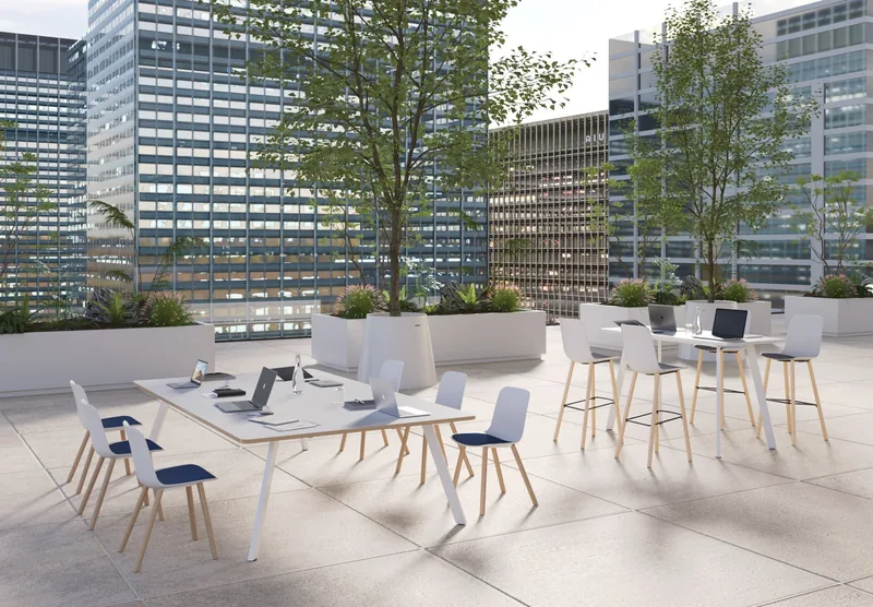 Meeting + Boardroom Chairs