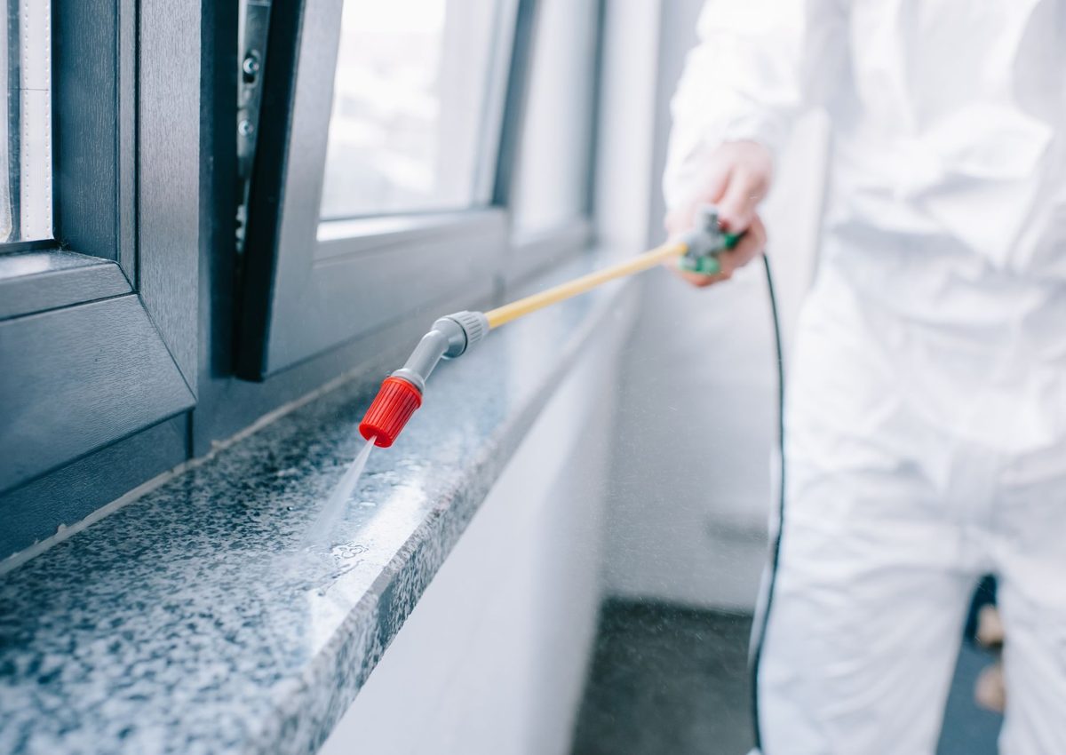 Pest control image from source site