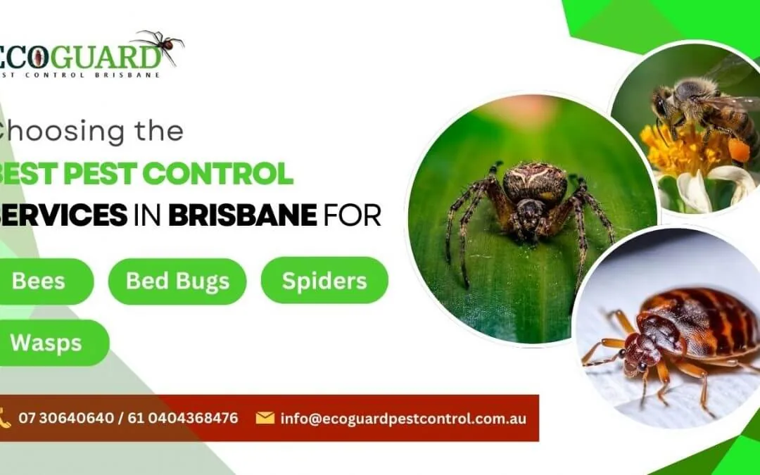 Bed Bug Treatment service image