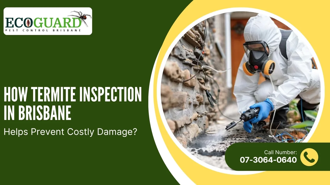 Termite Treatment service image