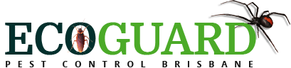 Ecoguard Pest Control Brisbane logo