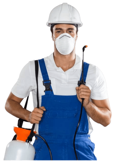 Ecoguard pest control technician