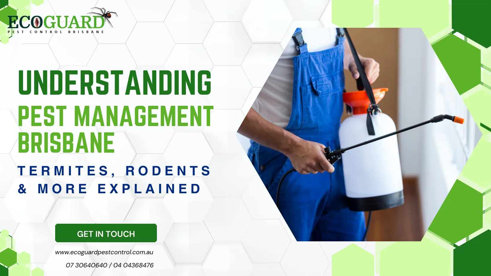 Office & School Pest Control service image