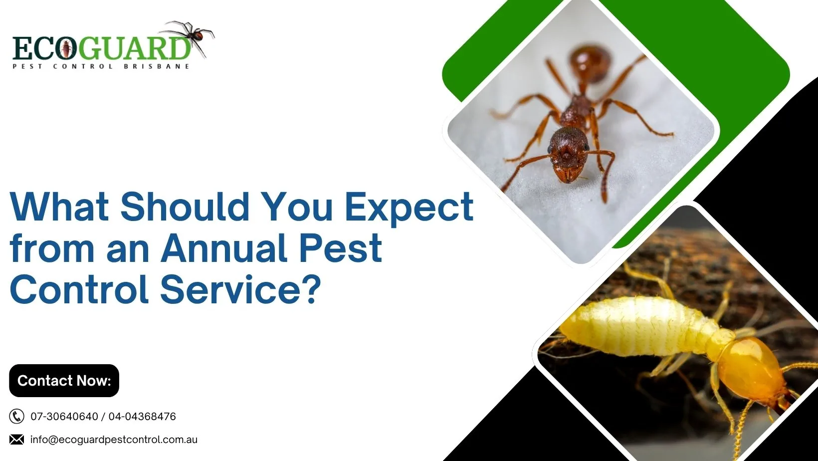 Residential Pest Control service image