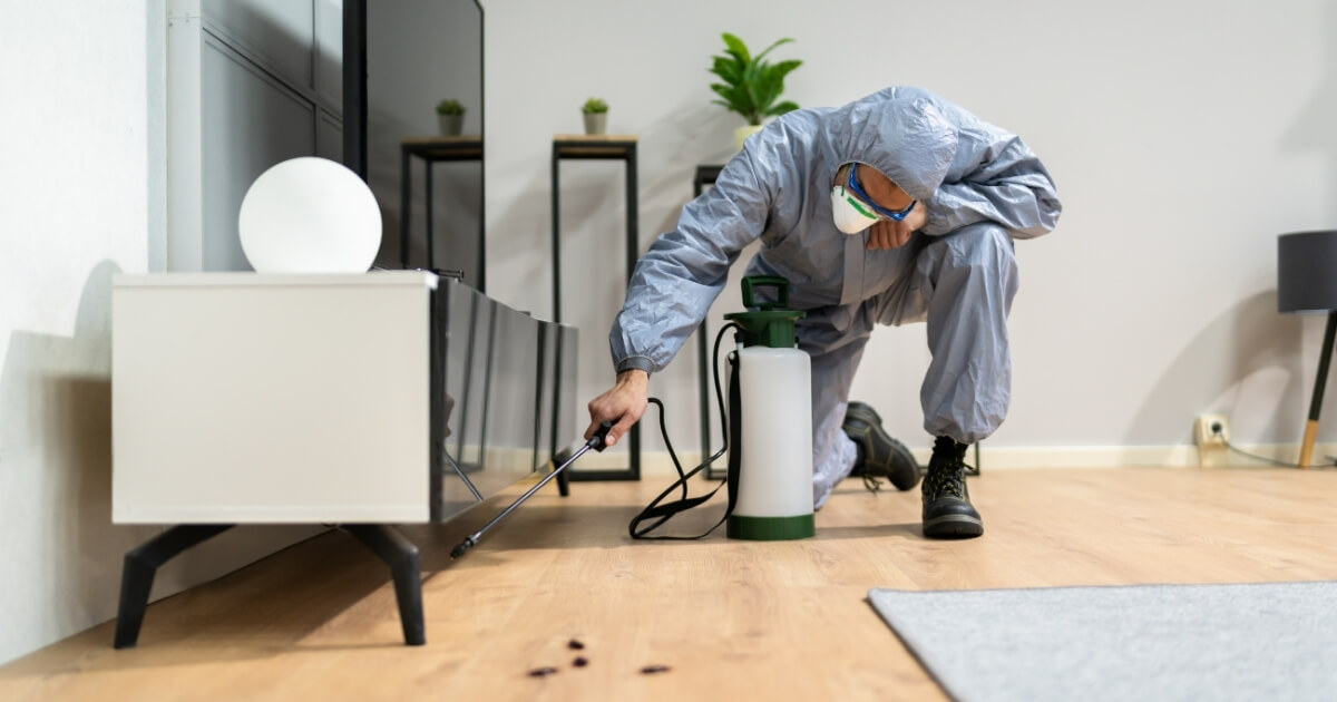 Ecoguard pest control technician treating a Brisbane property