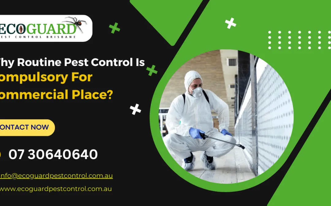 Commercial Pest Control service image