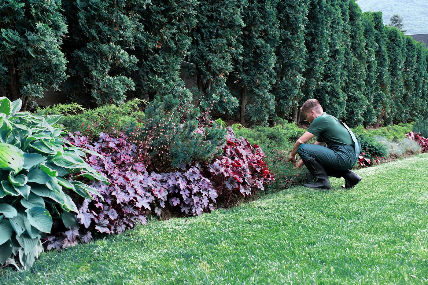 Garden Maintenance by EcoQuiet in Brisbane