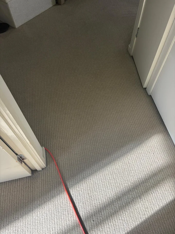 Hallway carpet after cleaning