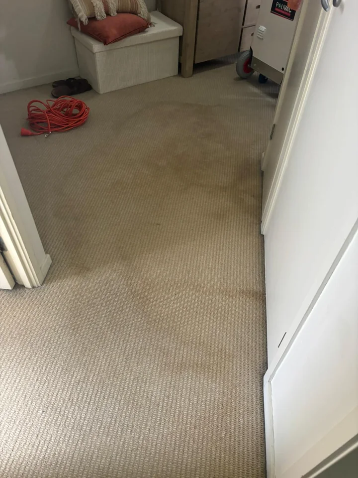 Hallway carpet before cleaning