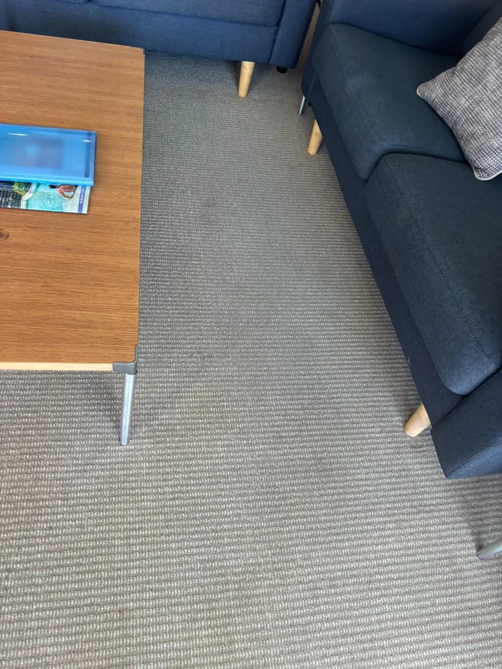 Living room carpet after cleaning