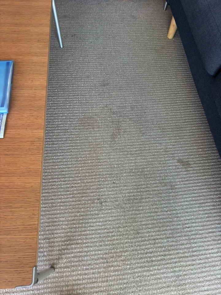 Living room carpet before cleaning