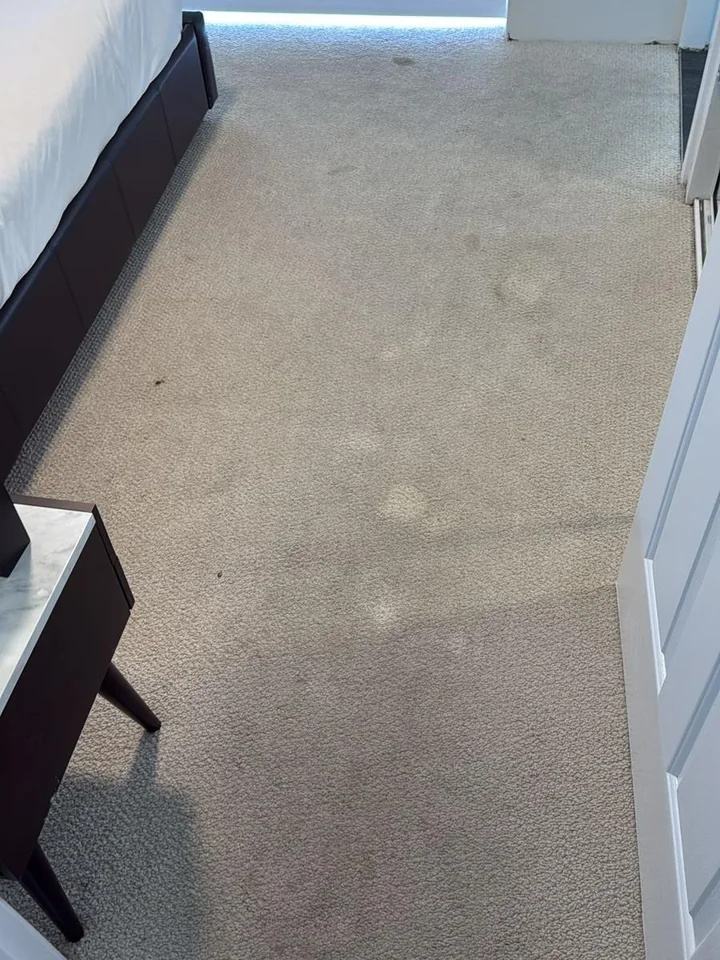 Office carpet before cleaning