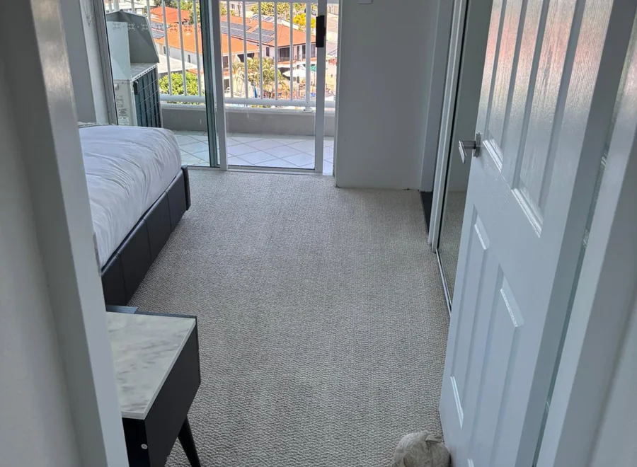 Commercial Carpet Care visual from Elevate Carpet Care