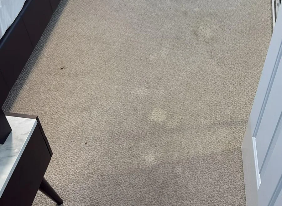 Emergency Cleaning visual from Elevate Carpet Care