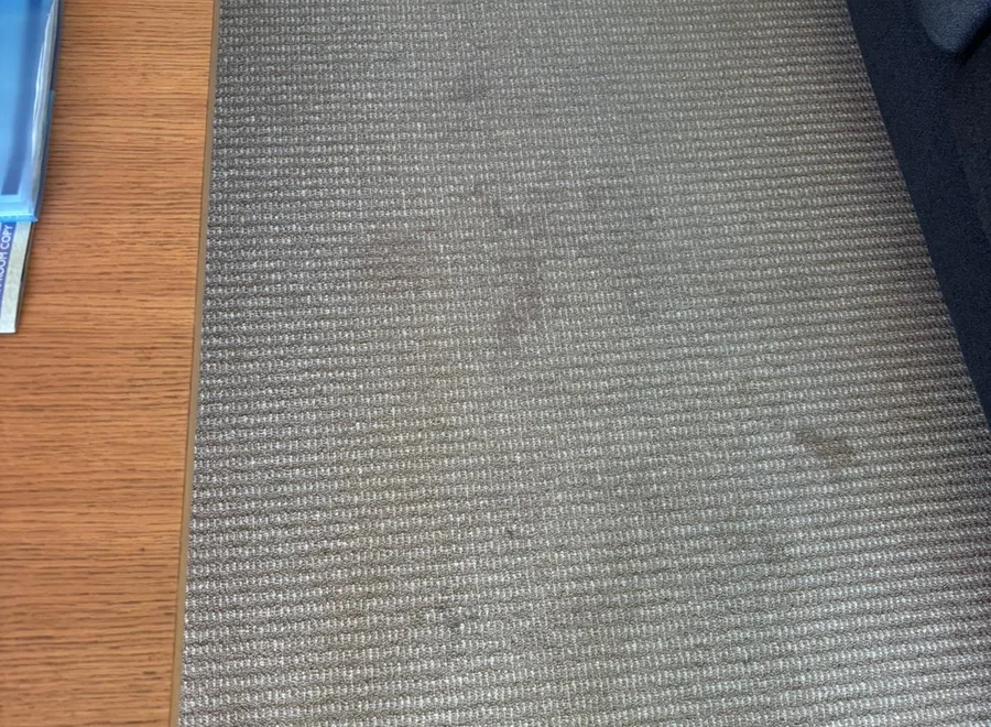 Steam Cleaning visual from Elevate Carpet Care