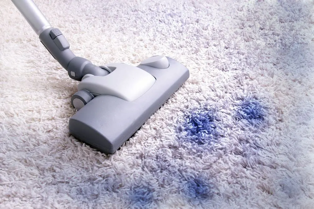 Carpet Cleaning by Encore Carpet Professionals
